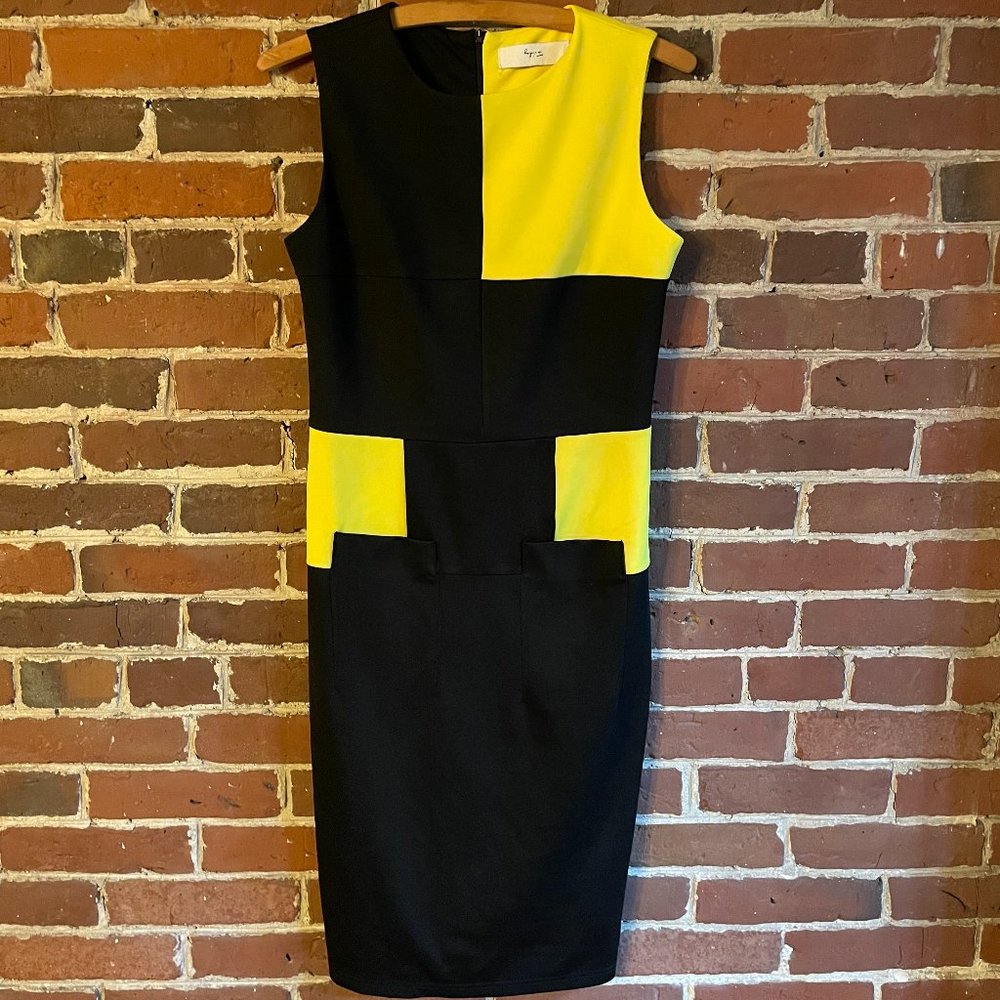 Friday Sheath Dress in Colorblock, size 8 (though fits more like a 4-6)